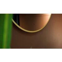  Silver Mirrors Зеркало Monaco Gold D100 LED-00002767 - Превью изображения №18 — Интернет-магазин Your Sale
