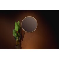  Silver Mirrors Зеркало Monaco Gold D100 LED-00002767 - Превью изображения №8 — Интернет-магазин Your Sale