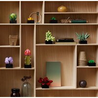 LEGO Creator Expert 10309 Суккуленты Image #2