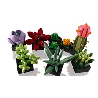 Конструктор LEGO Creator Expert 10309 Суккуленты - Превью изображения №6 — Интернет-магазин Your Sale