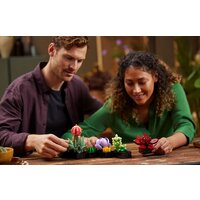Конструктор LEGO Creator Expert 10309 Суккуленты - Превью изображения №3 — Интернет-магазин Your Sale