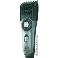 Panasonic ER217