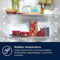 Холодильник Electrolux GreenZone 700 E7TNGE75S - Превью изображения №2 — Интернет-магазин Your Sale