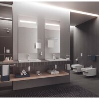 Grohe 3947500H с гигиеническим покрытием 100x49 Image #2