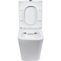 Roxen Amati Tornado Rimless Soft Close 600165-01 Image #9