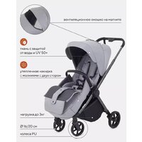 Rant Golf RA101 (classic grey) Image #6