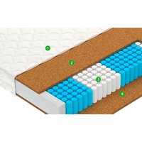 Vegas Focus (5-Zone) 160x200