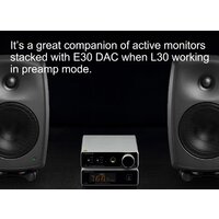 Topping L30 (серебристый) Image #4