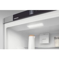 Холодильник Liebherr ICNe 5103 Pure NoFrost - Превью изображения №10 — Интернет-магазин Your Sale