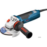Bosch GWS 19-125 CIST Professional [060179S002]