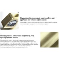 Deante Br Gold BCH R1BT Image #12