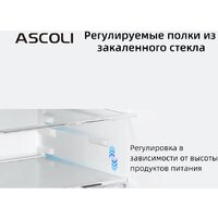 Однокамерный холодильник Ascoli ADFRY90 - Превью изображения №4 — Интернет-магазин Your Sale