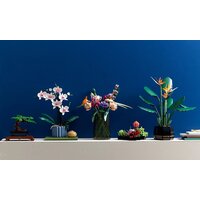 LEGO Creator Expert 10311 Орхидея Image #3