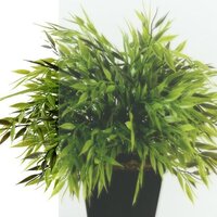 Triton Сигма 100x100 (хром, с поддоном) Image #5