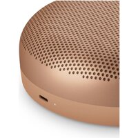 Bang & Olufsen Beosound A1 3nd Gen (honey tone) Image #6