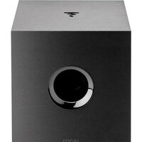 Focal Cub Evo Image #2