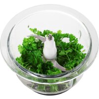 Concept RM3270 Image #14