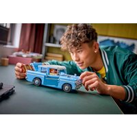 LEGO Harry Potter 76470 Летающий Форд «Англия» Image #10