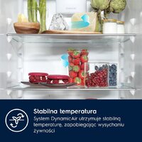 Холодильник Electrolux E7TNGE18S - Превью изображения №2 — Интернет-магазин Your Sale