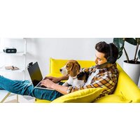 Axtel Voice UC40 Mono NC Image #6