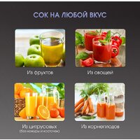 Соковыжималка Zigmund & Shtain EJ-757 - Превью изображения №9 — Интернет-магазин Your Sale