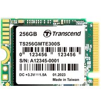Transcend 300S 256GB TS256GMTE300S
