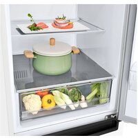 Холодильник LG DoorCooling+ GA-B509LQYL - Превью изображения №12 — Интернет-магазин Your Sale