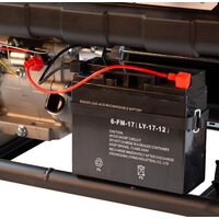 Бензиновый генератор Denzel PS-25 - Превью изображения №14 — Интернет-магазин Your Sale