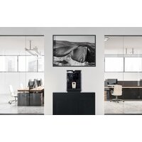 Saeco Royal Plus Image #6