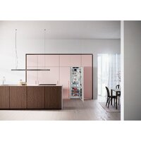 Однокамерный холодильник Liebherr IRBci 5180 Peak BioFresh - Превью изображения №5 — Интернет-магазин Your Sale