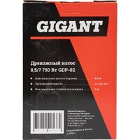 Дренажный насос Gigant GDP-02 - Превью изображения №17 — Интернет-магазин Your Sale