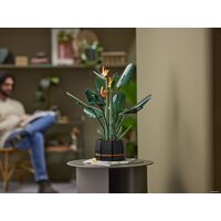 LEGO Creator Expert 10289 Райская птица Image #13