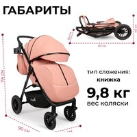 Costa Vita VT-9 (пыльная роза) Image #27