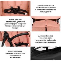 Costa Vita VT-9 (пыльная роза) Image #24