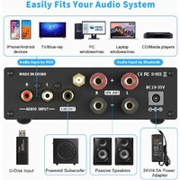Усилитель мощности Fosi Audio BL20C (24V) - Превью изображения №3 — Интернет-магазин Your Sale