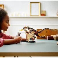 LEGO Harry Potter 76406 Венгерская хвосторога Image #8