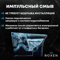 Roxen Vario 620260-01 с импульсным смывом Image #3