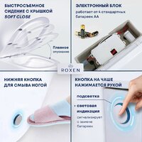 Roxen Vario 620260-01 с импульсным смывом Image #4