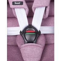 Rant Nitro Isofix UB619 (серый/розовый) Image #16