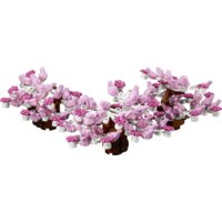 LEGO Creator 10281 Бонсай Image #12