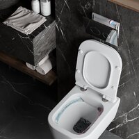 Roxen StounFix Dual Fresh 710200 с удлиненными креплениями в комплекте и встр. контейнером для гигиенических таблеток (аромадозатор) Image #8