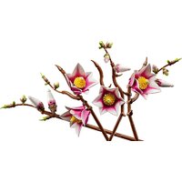 Конструктор LEGO Botanicals 11510 Ветви магнолии - Превью изображения №2 — Интернет-магазин Your Sale