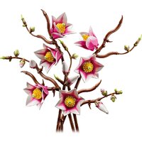 Конструктор LEGO Botanicals 11510 Ветви магнолии - Превью изображения №3 — Интернет-магазин Your Sale
