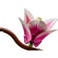 Конструктор LEGO Botanicals 11510 Ветви магнолии - Превью изображения №7 — Интернет-магазин Your Sale