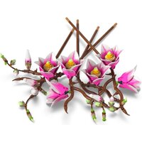 Конструктор LEGO Botanicals 11510 Ветви магнолии - Превью изображения №4 — Интернет-магазин Your Sale