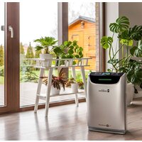 Webber AP9405 Image #10