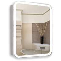 Silver Mirrors Шкаф с зеркалом Фиджи 60x80 LED-00002364