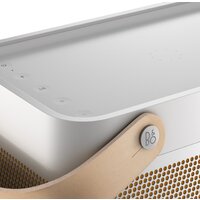 Bang & Olufsen Beolit 20 (серый) Image #10