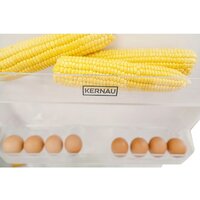 Холодильник Kernau KFRC 18161.2 NF W - Превью изображения №4 — Интернет-магазин Your Sale