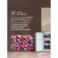 Четырёхдверный холодильник LEX LCD450GlGID - Превью изображения №5 — Интернет-магазин Your Sale